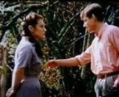 Brett Climo as dr. David Ratcliffe and Melita Jurisic as dr. Magda Heller in The Flying Doctors.