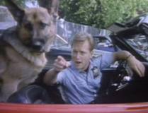 Jesse Collins as Hank Katts in Katts and Dog / Rin Tin Tin K-9 Cop. Together with Rinty/Rudy.