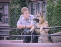 Hank Katts (Jesse Collins), Ren�e Daumier (Denise Virieux) and Ron Nakemura (Denis Akiyama) in Katts and Dog / Rin Tin Tin K-9 Cop.