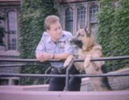 Beskrivning: Jesse Collins as Hank Katts in Katts and Dog / Rin Tin Tin K-9 Cop. Together with Rinty/Rudy.
