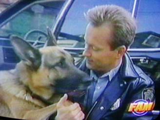 Hank Katts (Jesse Collins) with Rinty/Rudy in Katts and Dog (aka Rin Tin Tin K-9 Cop)