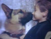 Andrew Bednarski as Stevie Katts in Katts and Dog / Rin Tin Tin K-9 Cop. Together with Rinty/Rudy.